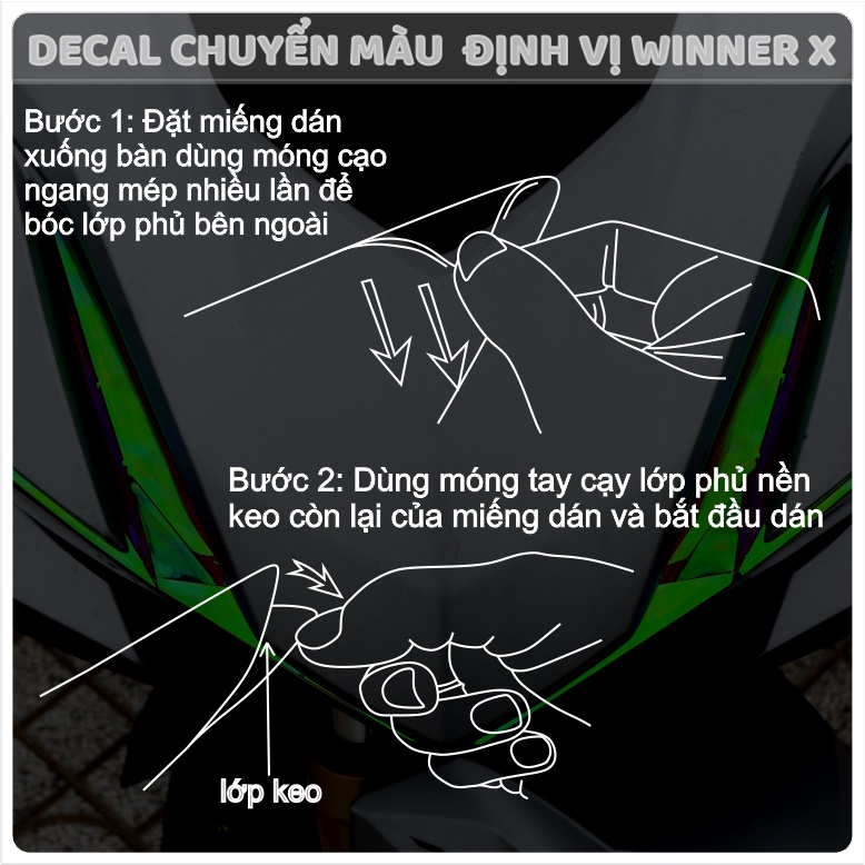 Decal Định Vị Winner X Honda Rs-X Chuyển Màu Demi Winner X 3 Lớp Chống Trầy Và Nổi Bật