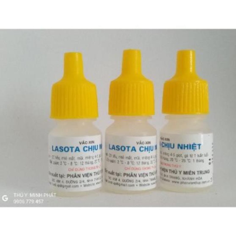 VACIN LASOTA CHỊU NHIỆT (vacin dịch tả gà) loại 5ml 25 liều