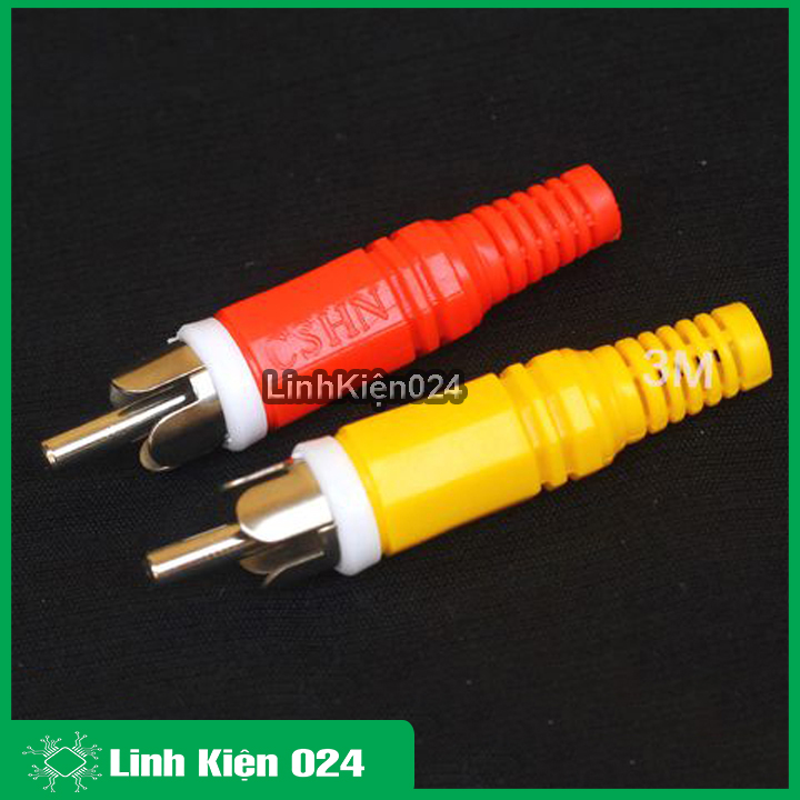 Jack hoa sen đực màu vàng/đỏ
