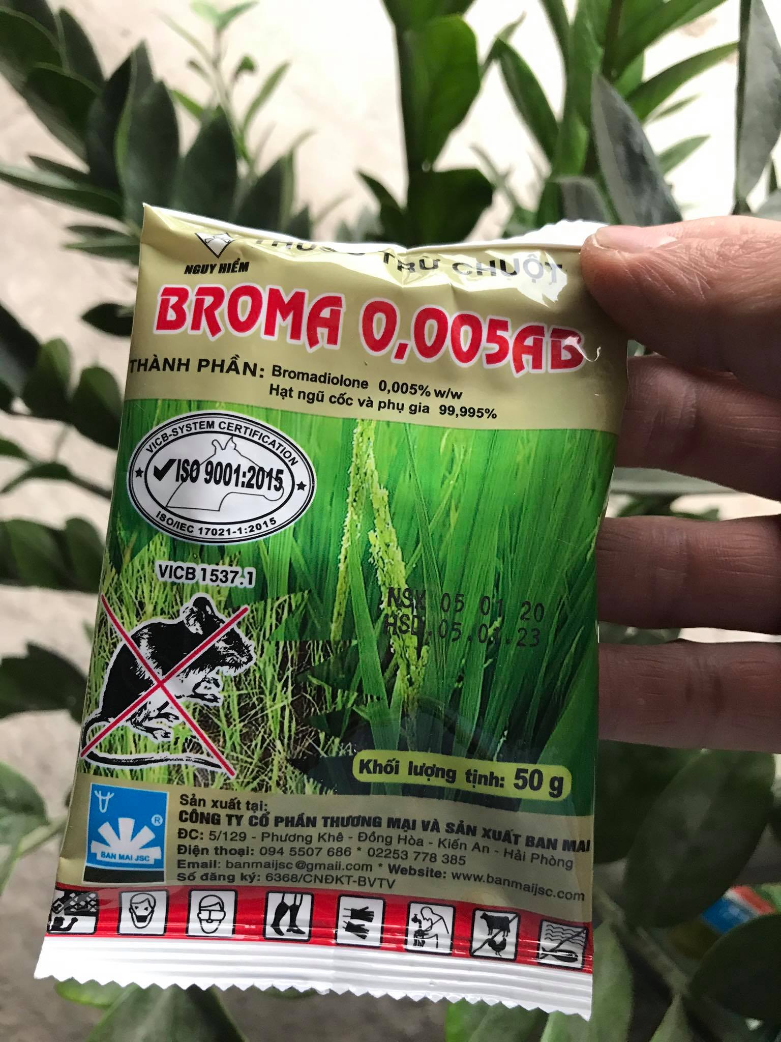 BẢ CHUỘT THÓC- Trừ Chuột Broma 0,005Ab