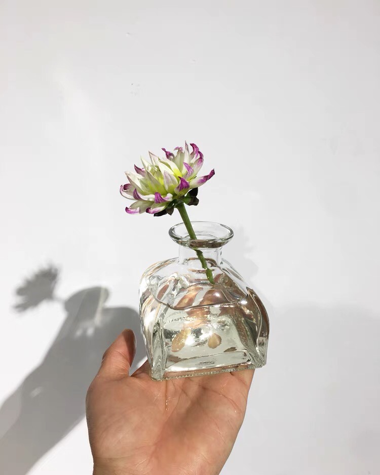 Bình Hoa Thủy Tinh Mini - Bình Bông Lọ Hoa Nhỏ