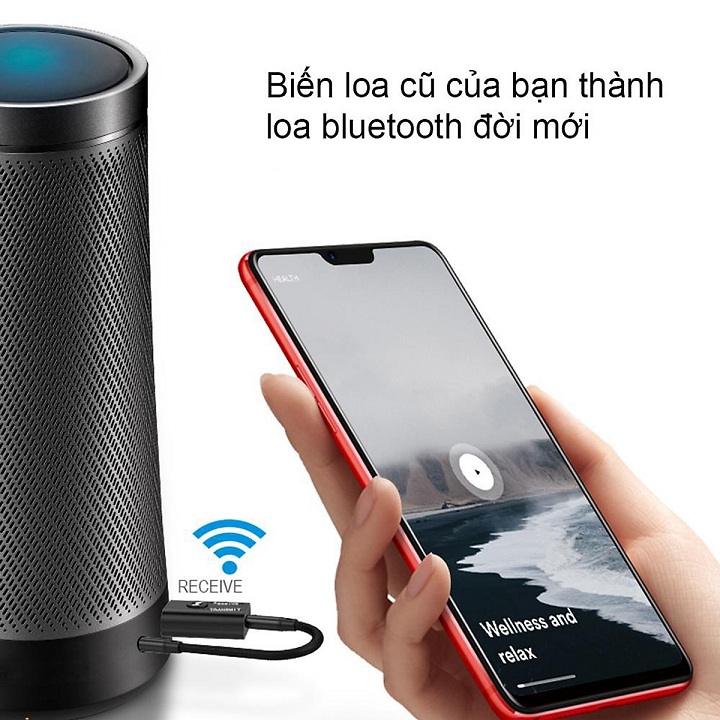 Thiết Bị Thu Phát Bluetooth- USB Bluetooth Transmit Receiver BT600