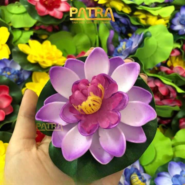Hoa sen thả hồ trang trí tiểu cảnh, thả bát tụ thủy, thả hồ, thả bể cá