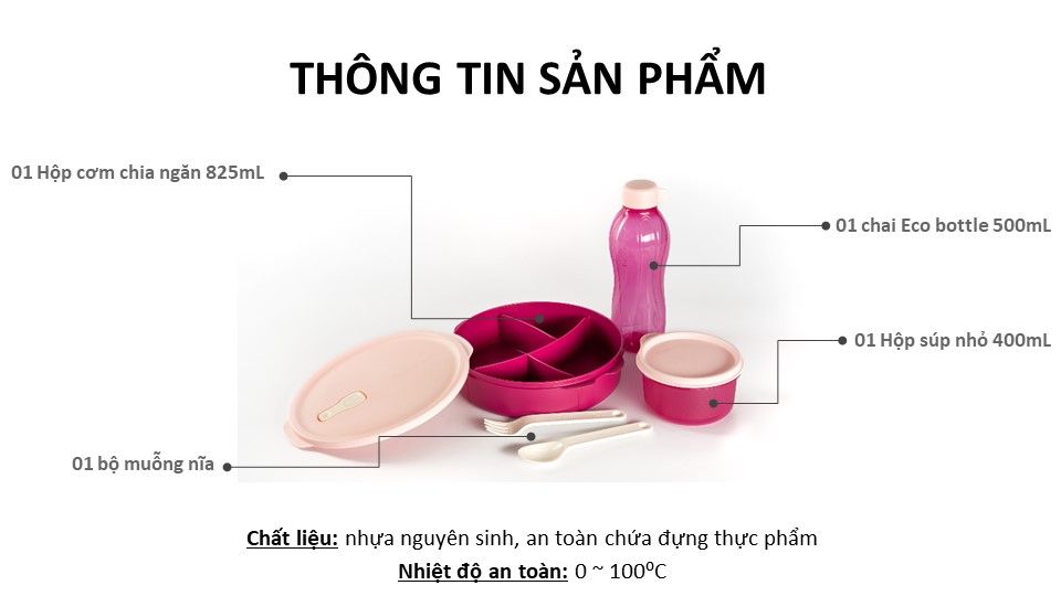 Bộ hộp cơm FIT TO GO[TẶNG TÚI ĐỰNG CƠM]