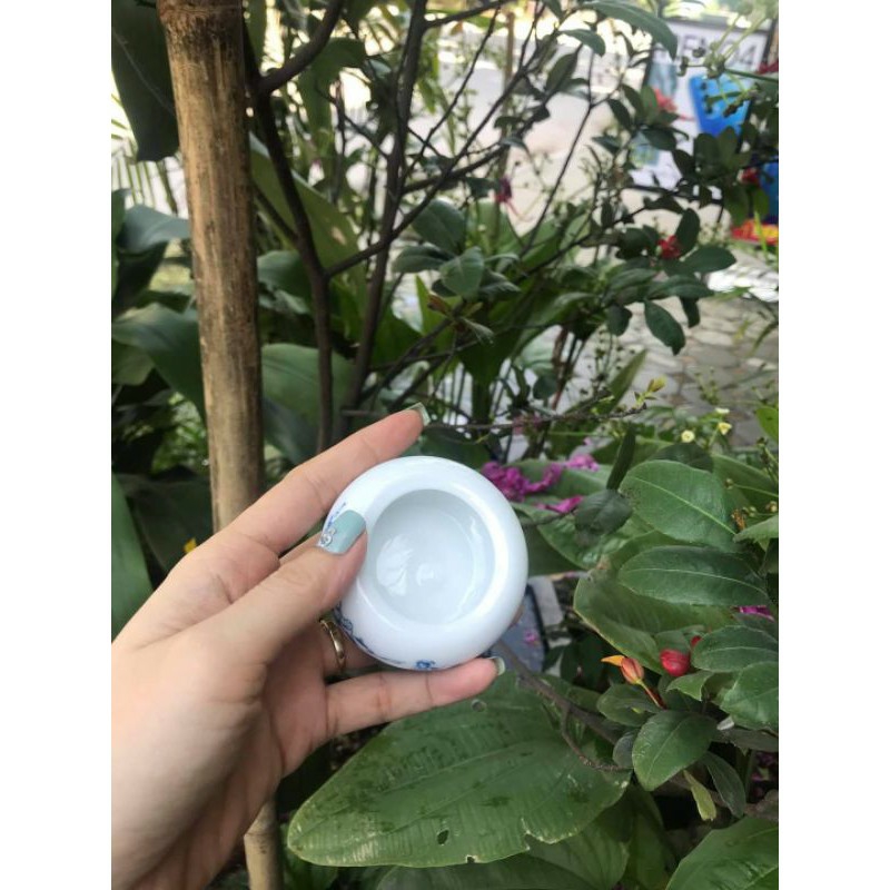 Combo 5 cóng sứ đựng sâu, dế cho chim mào, chòe