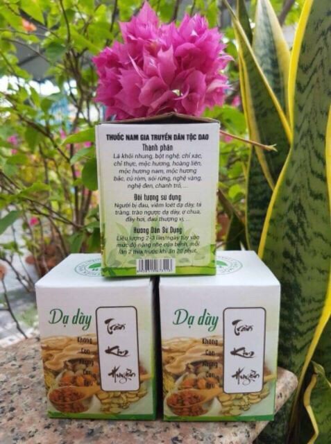 Dạ dày Trần Kim Huyền
