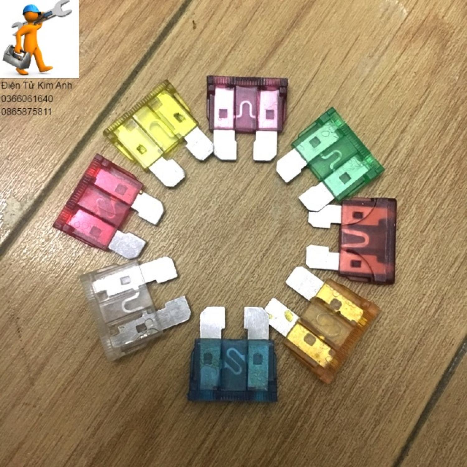 10 Cầu trì oto các loại