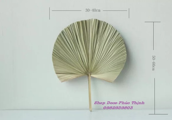 Lá Cọ Khô trang trí