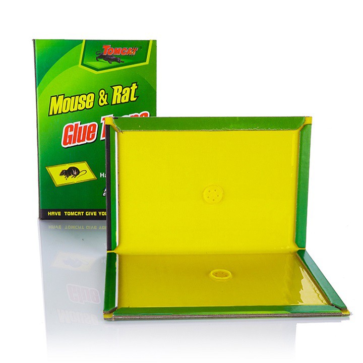 Combo 3 vỉ bẫy chuột siêu dính thần thánh siêu chắc