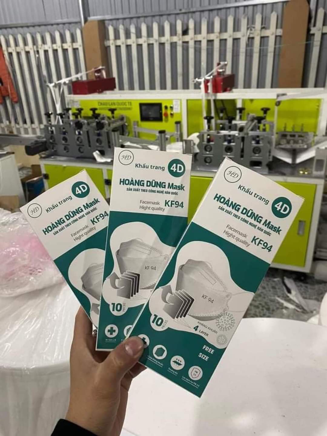 Set 10 khẩu trang 4D KF94 Hoàng Dũng