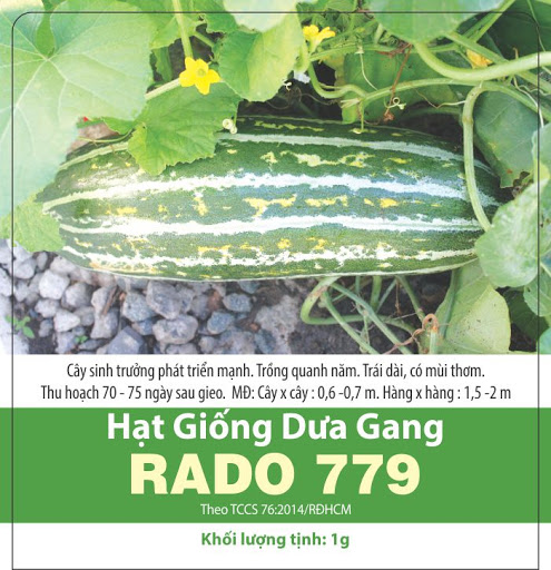Hạt Giống Dưa Gang F1 Rạng Đông 1 Gram