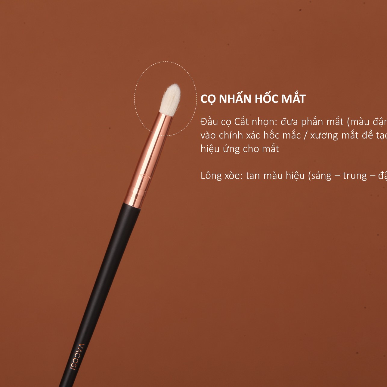 Cọ Mắt VACOSI Eyeshadow Brush - E2E / E12 / E14 Cọ Phấn Mắt