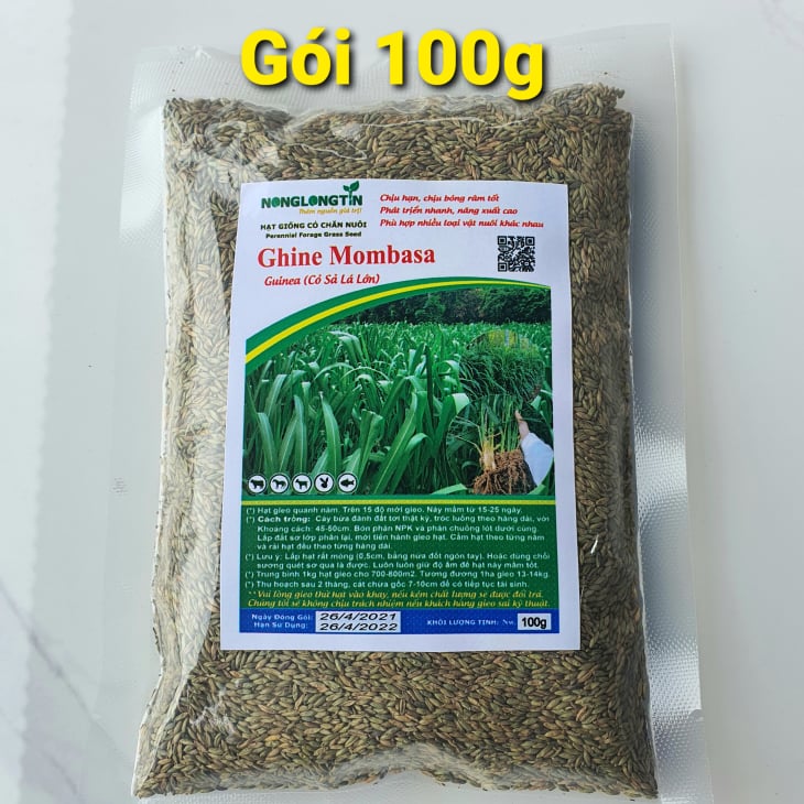 hạt giống cỏ ghine mombasa (cỏ xả lá lớn)