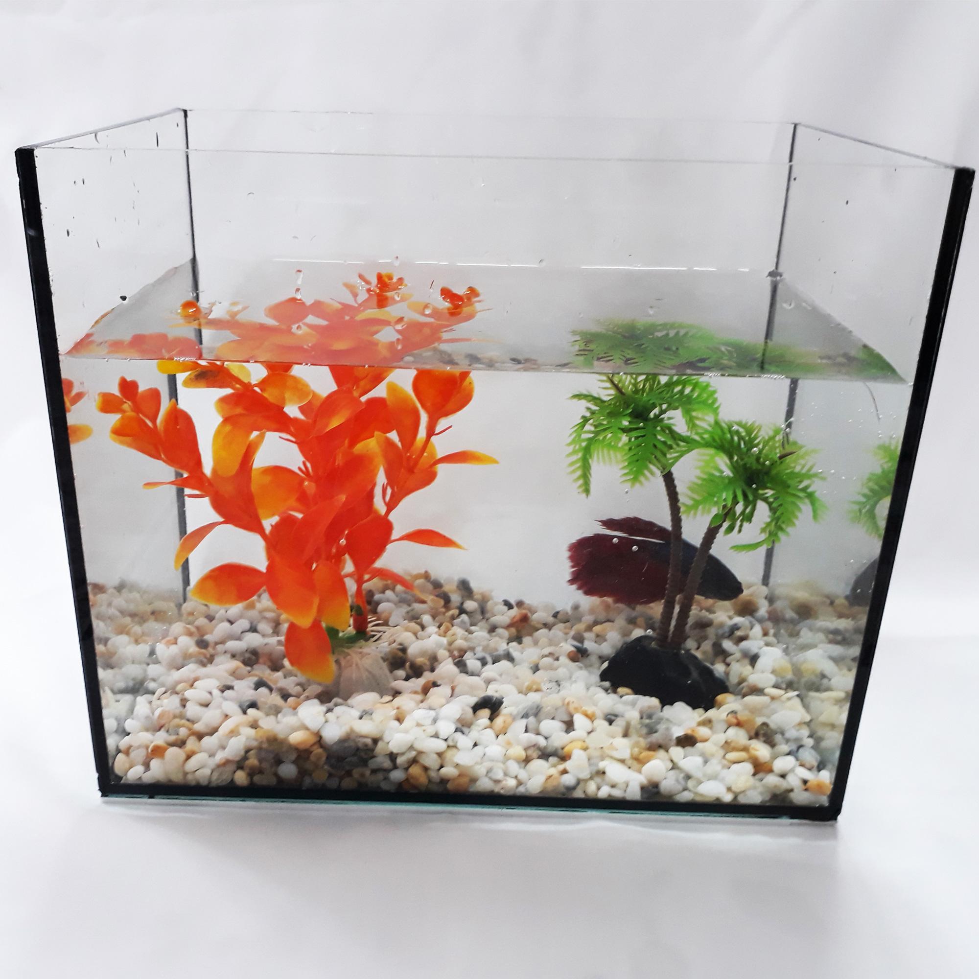 Hồ Cá Vuông Để Bàn - Bể Cá Mini Để Bàn Thủy Tinh HV 18x12x15