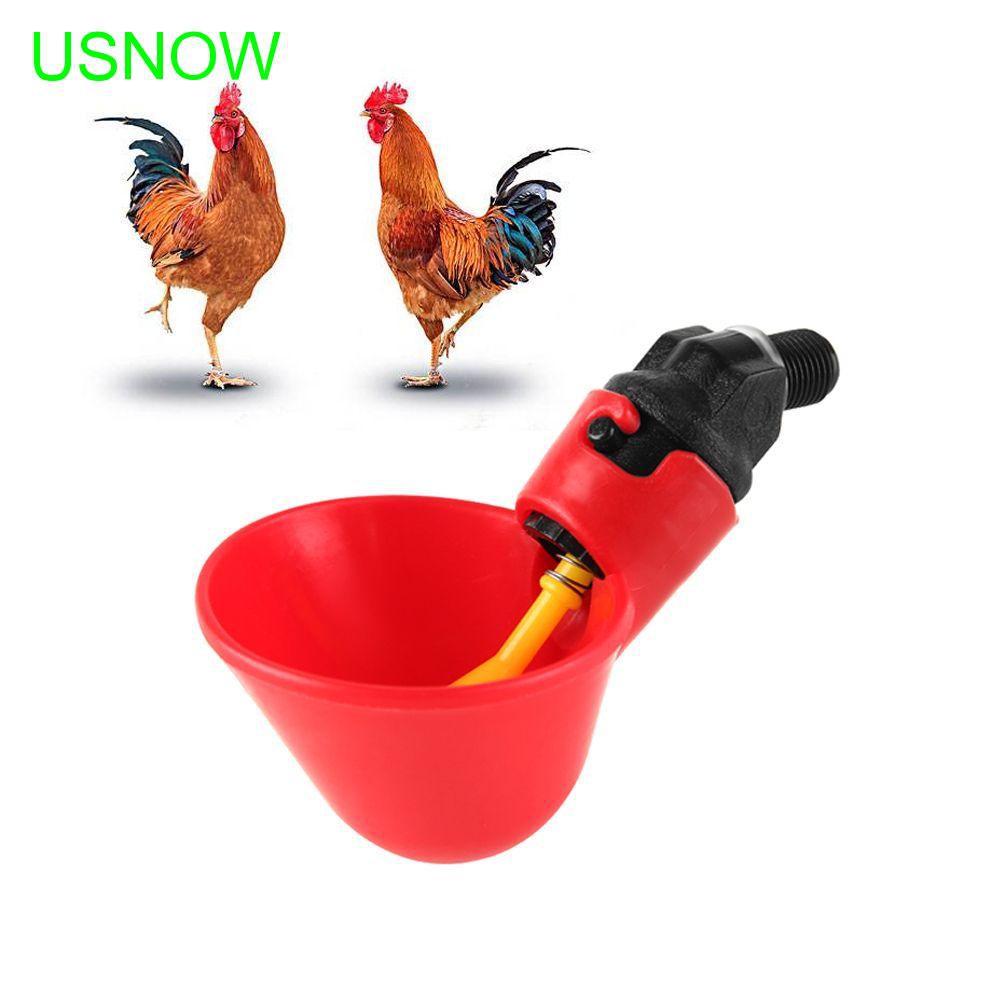 Combo 10 máng uống cho gia cầm