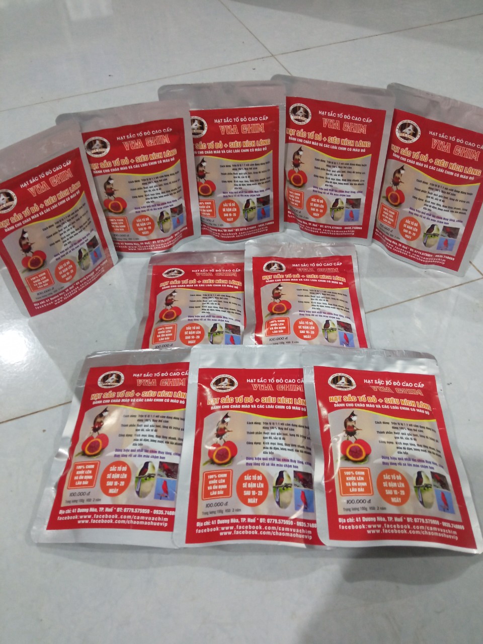 kích đỏ cho chào mào