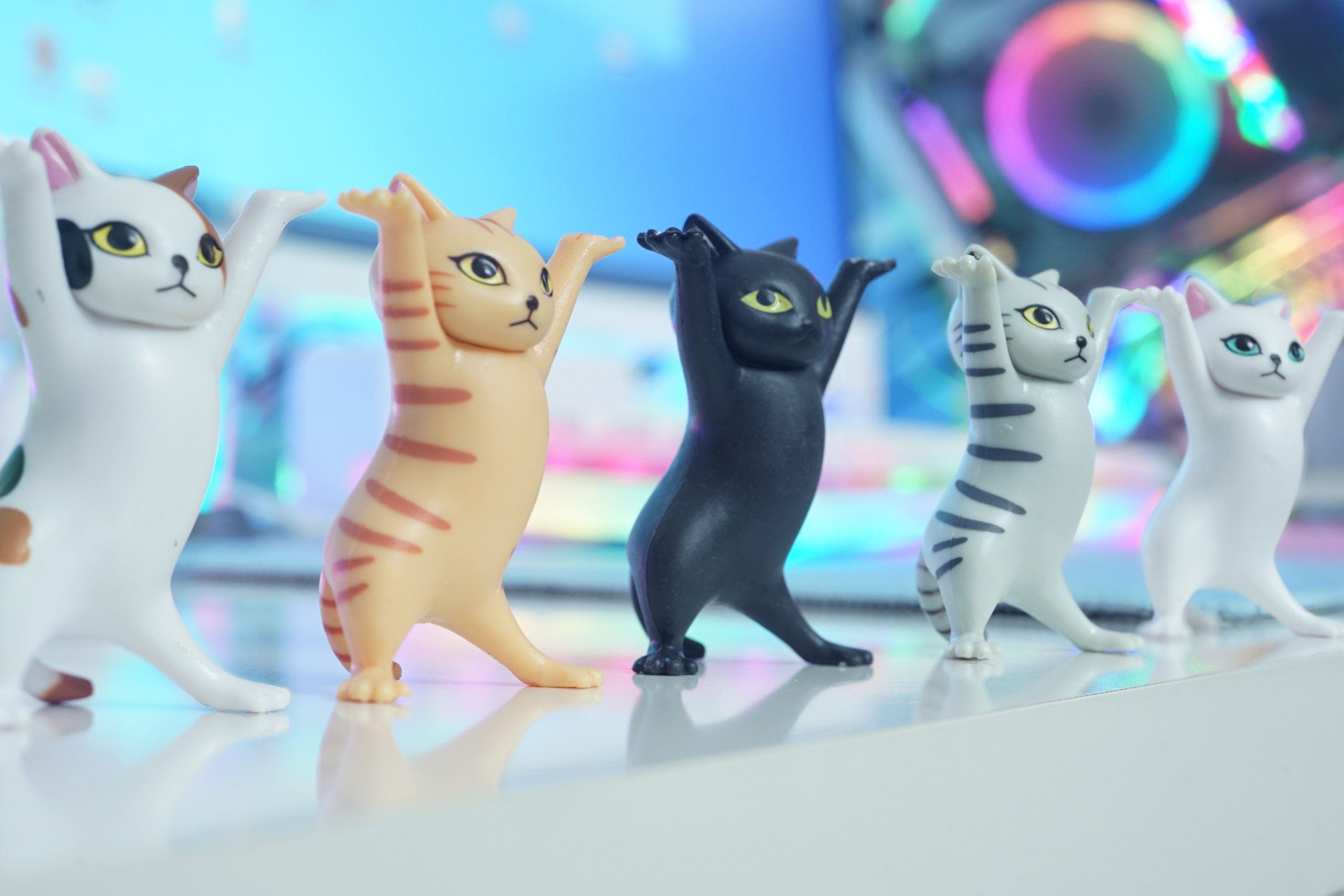 SET 5 MÔ HÌNH MÈO NHẢY MÚA KUTE 5CM