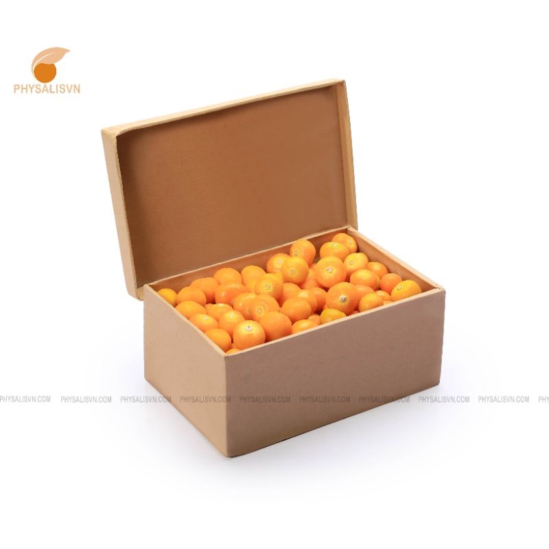 Trái Tầm Bóp-Thù Lù Nam Mỹ (Physalisvn) 1000g