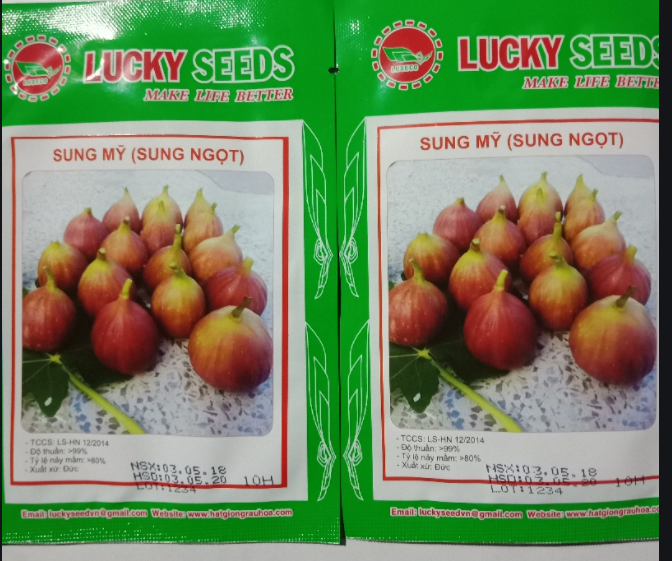 Hạt Giống Sung Mỹ Gói 10 Hạt