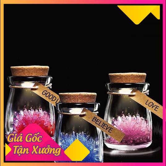 [HCM]Khu Vườn Bình Ước Nguyện Tinh Thể - ib shop chọn màu ( Màu Kim Mộc Thủy Hỏa Thổ Diy - Đỏ , xanh lá, xanh biển, tím ,cam, trắng .)