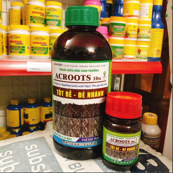 Điều hòa sinh trưởng Acroot chai 01 lít