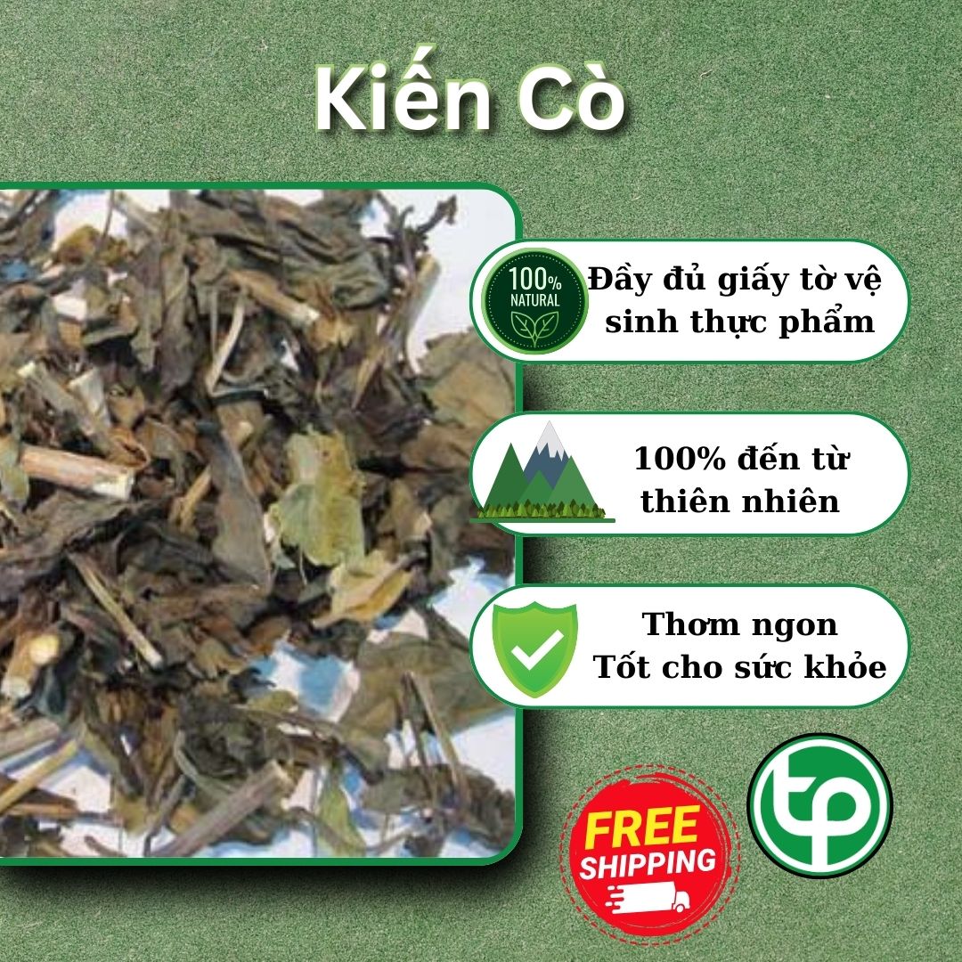 Cây kiến cò sấy khô túi lớn loại 500g  - Hàng công ty chất lượng cao - Thảo Dược Tấn Phát