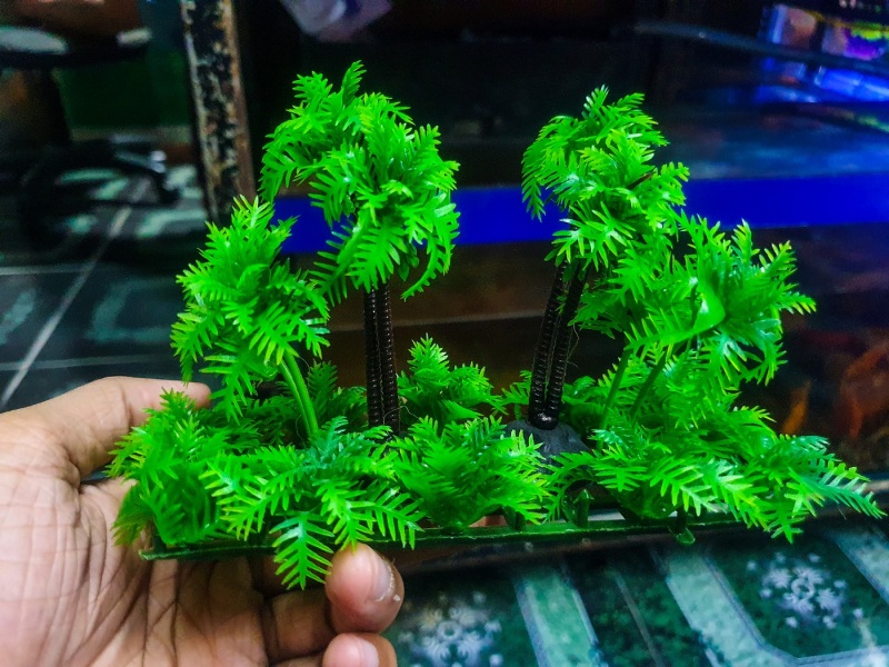 DỪA TRANG TRÍ HỒ CÁ NON BỘ 13X5X10CM