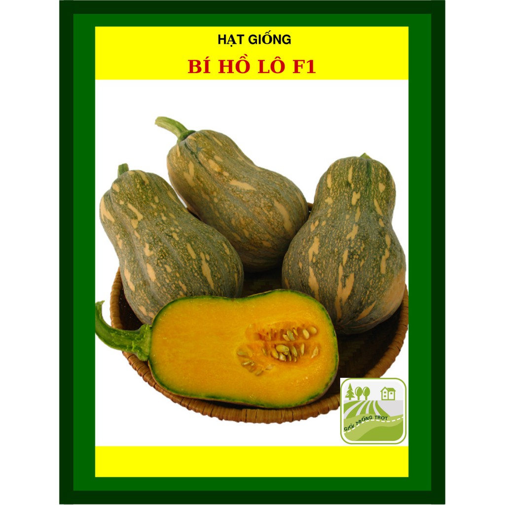 2G - Hạt Giống Bí Hồ Lô