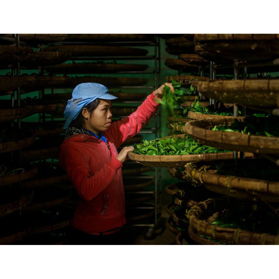 Lục trà ( trà xanh) xuất khẩu Mộc Sơn gói 500g