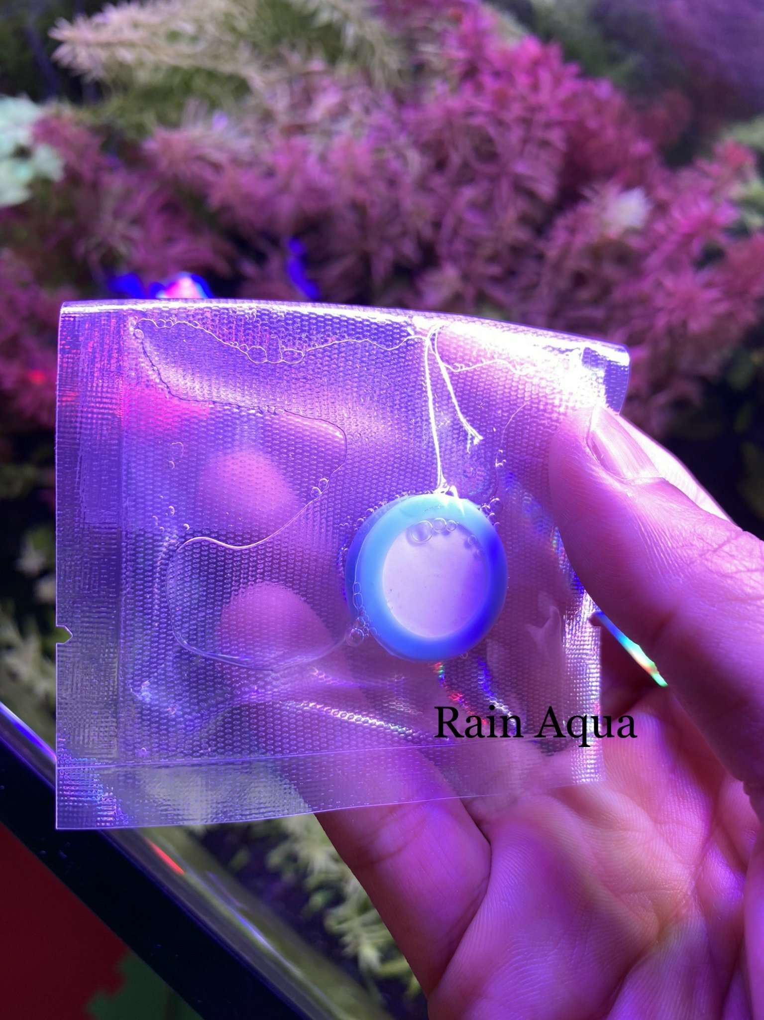 Miếng gốm thay thế đầu cốc sủi CO2 Mufan (chính hãng Mufan)