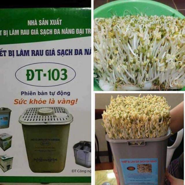 MÁY LÀM GIÁ ĐỖ, RAU MẦM SẠCH DT-103