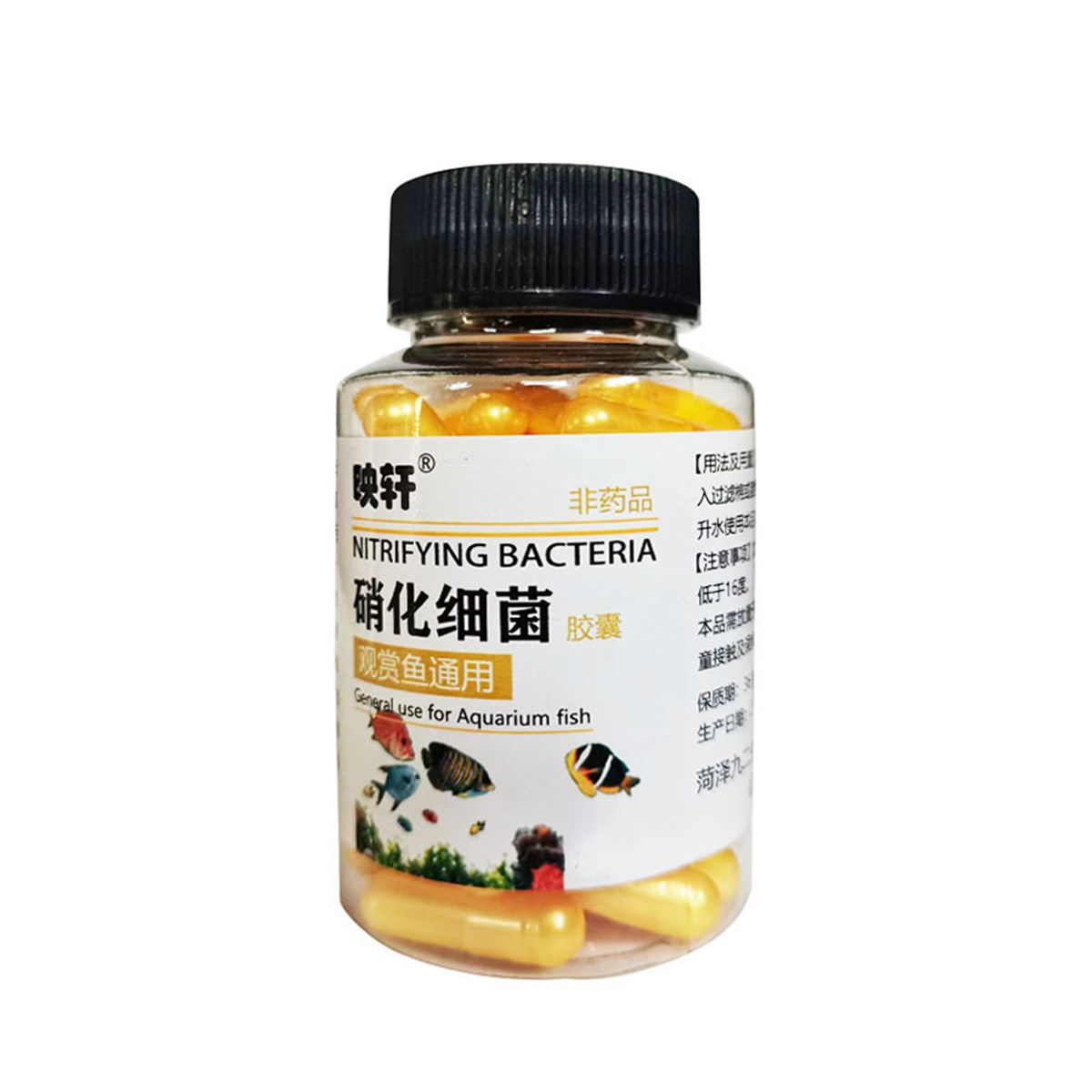 Vi Khuẩn Nitrat Hóa Cho Bể Cá Cảnh , Bể Thủy Sinh