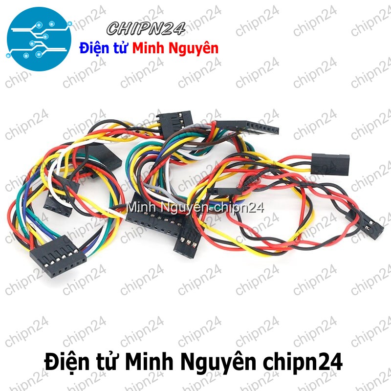[2 sợi] (D119) Dây bẹ màu 2.54mm 2p 20cm