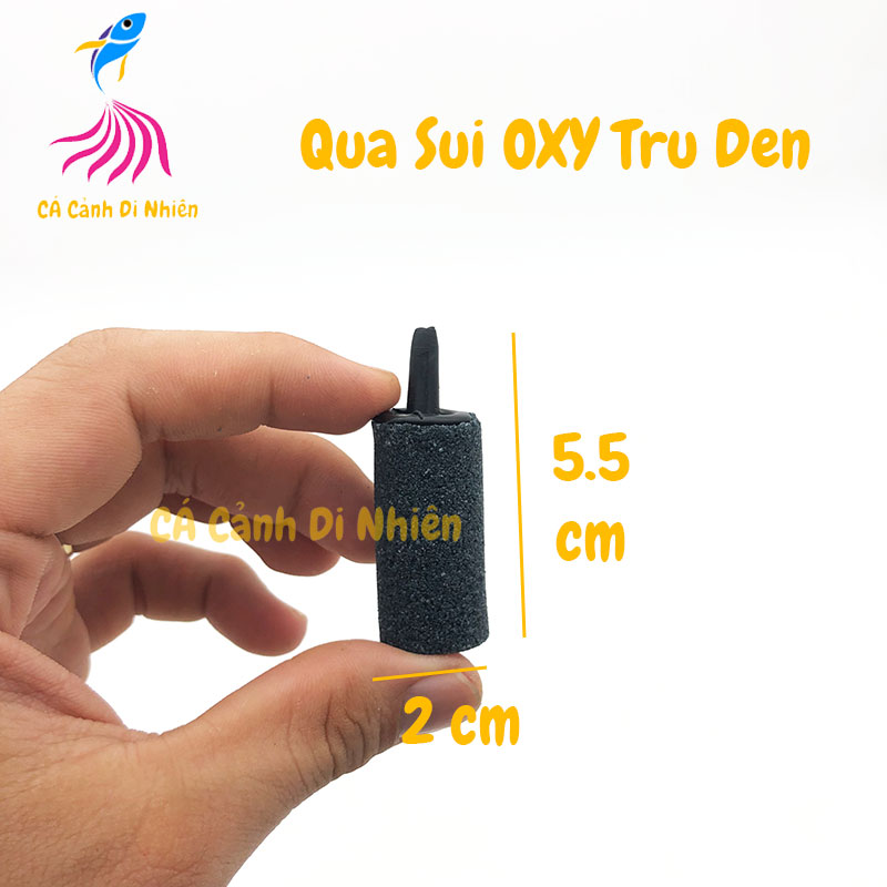 COMPO 5 Cục sủi oxy hình TRỤ ĐEN - Đá sủi cực mịn cho hồ cá cảnh