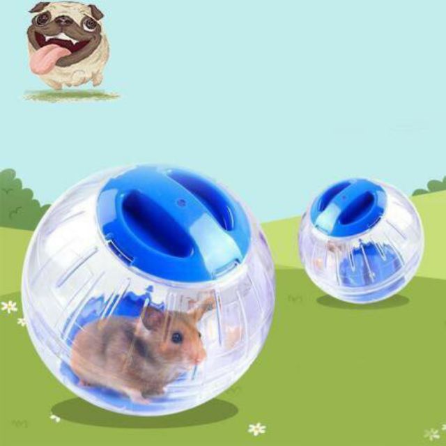 Banh Chạy New Age 16cm cho Hamster