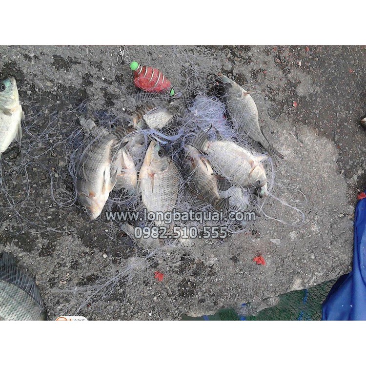 Lưỡi Câu Cá Dạng Lưới Đa Năng