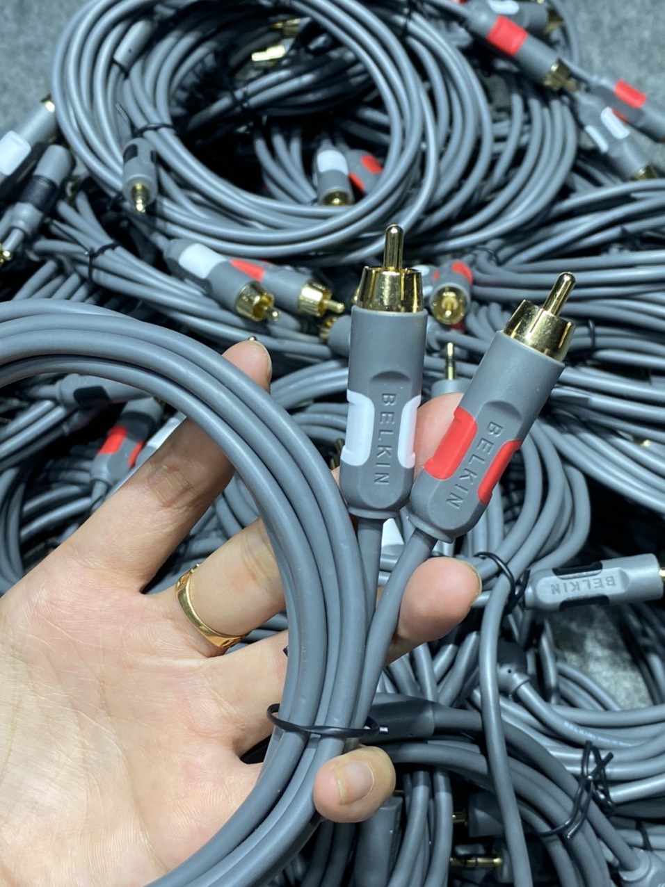 Dây 3.5Li Belkin Bãi Đức, Sợi 2m.