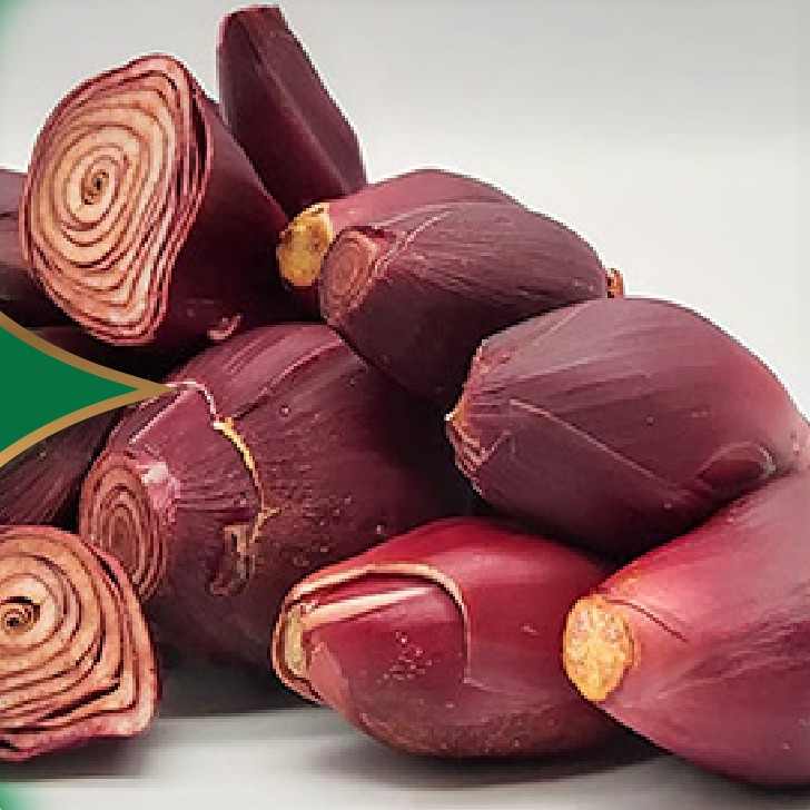 1kg củ giống sâm đại hành