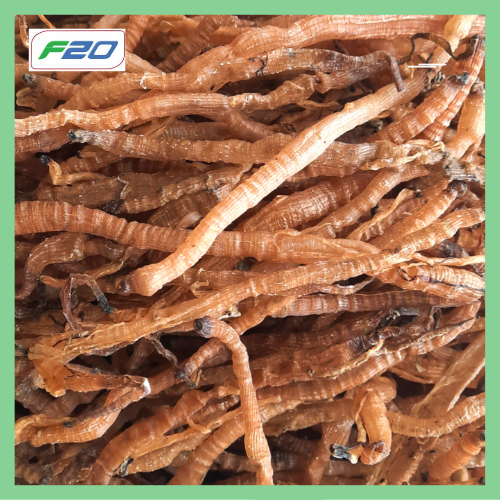 Sá Sùng Nấu Phở 200gr Loại 1 - Sá Sùng Khô Nấu Nước Lèo Đã Làm Sạch Cát