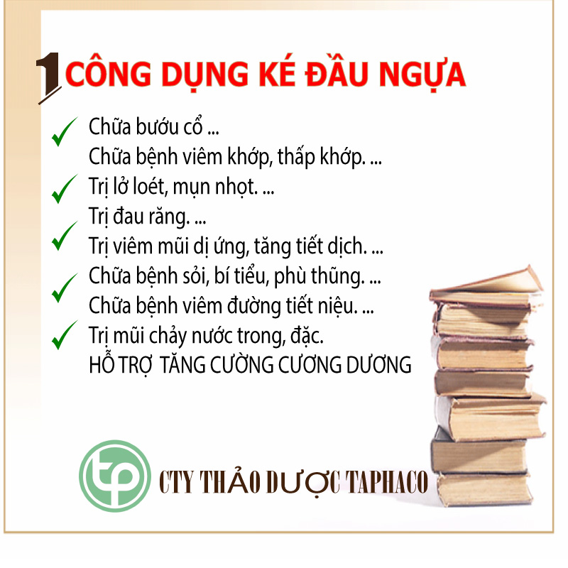 [Hàng mới về] Ké đầu ngựa khô 500g - tấn phát - Hàng công ty chất lượng cao - hỗ trợ cải thiện sức khoẻ cực kỳ hiệu quả