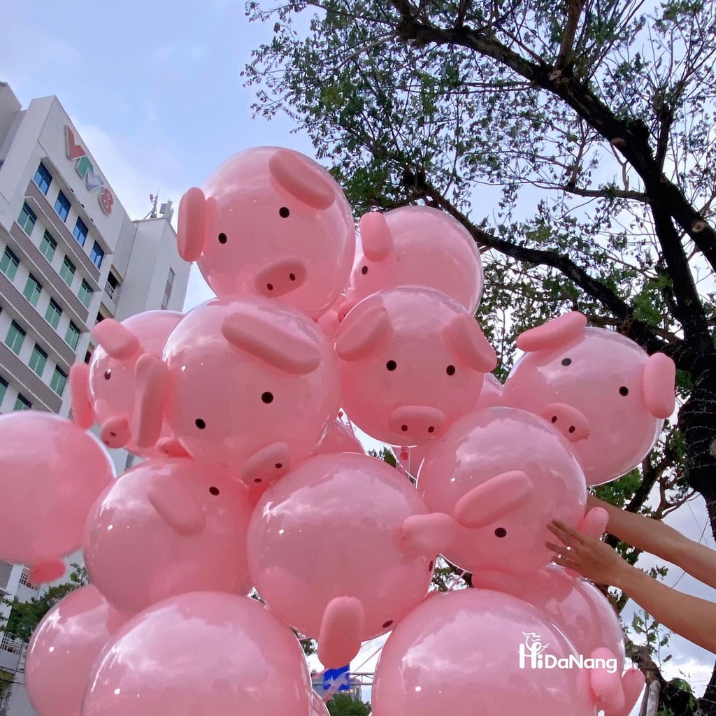 Bóng heo hồng hottrend tiktok,combo nguyên liệu làm bóng con lợn hồng ngọc thịnh