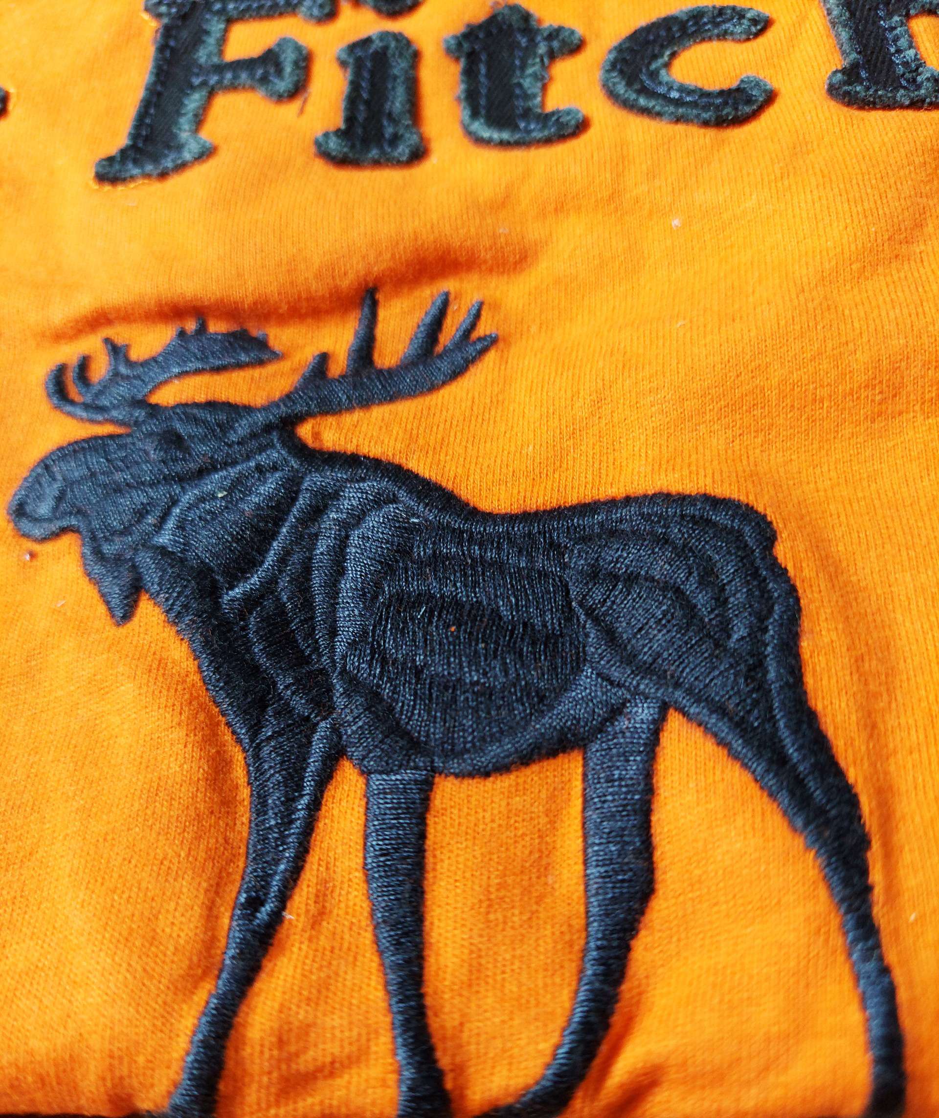 Áo thun Abercrombie color Orange new