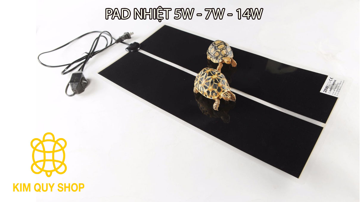 Pad nhiệt - tấm sưởi ấm cho bò sát