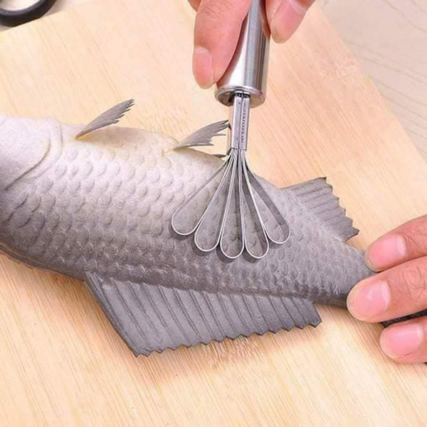 🐳 Dụng Cụ Đánh Vảy Cá - Nạo Dừa Đa Năng 🐳