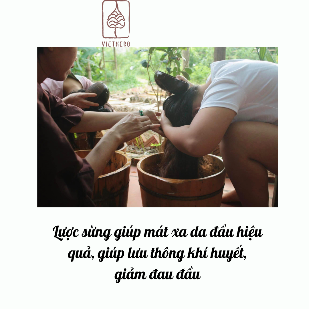 (Vietherb) Lược Sừng Dài Giúp tóc bóng đẹp, lưu thông khí huyết da đầu, massage, đánh cảm, cạo gió Koshka Home