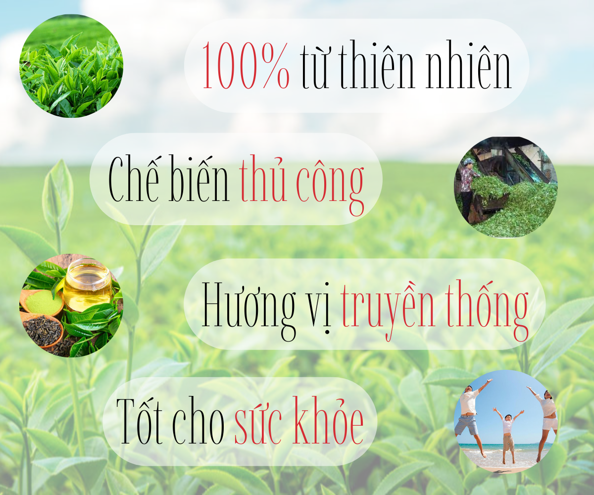 Trà Chùm Ngây - Trà Đại Gia (1 hộp 20 túi)