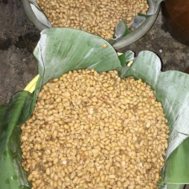 Tương hột 500g