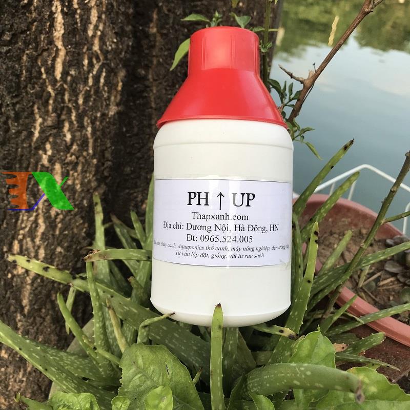 Solution increase the pH phu-500 ML, pH Up, regulating align the pH of the water