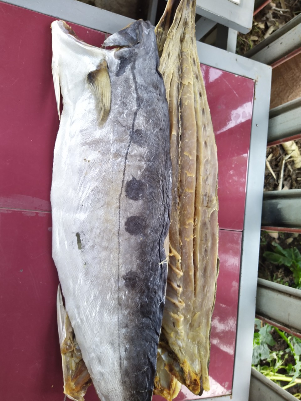 1kg khô cá bè trang phile nguyên miếng không xương