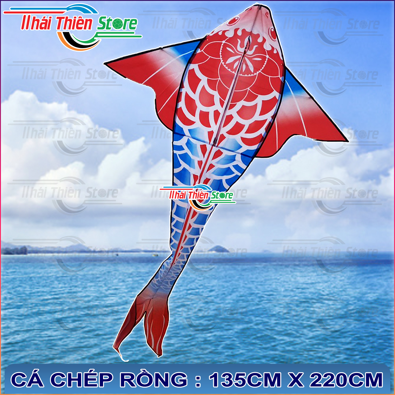 Diều Cá Koi, Chép Rồng Nhiều Màu